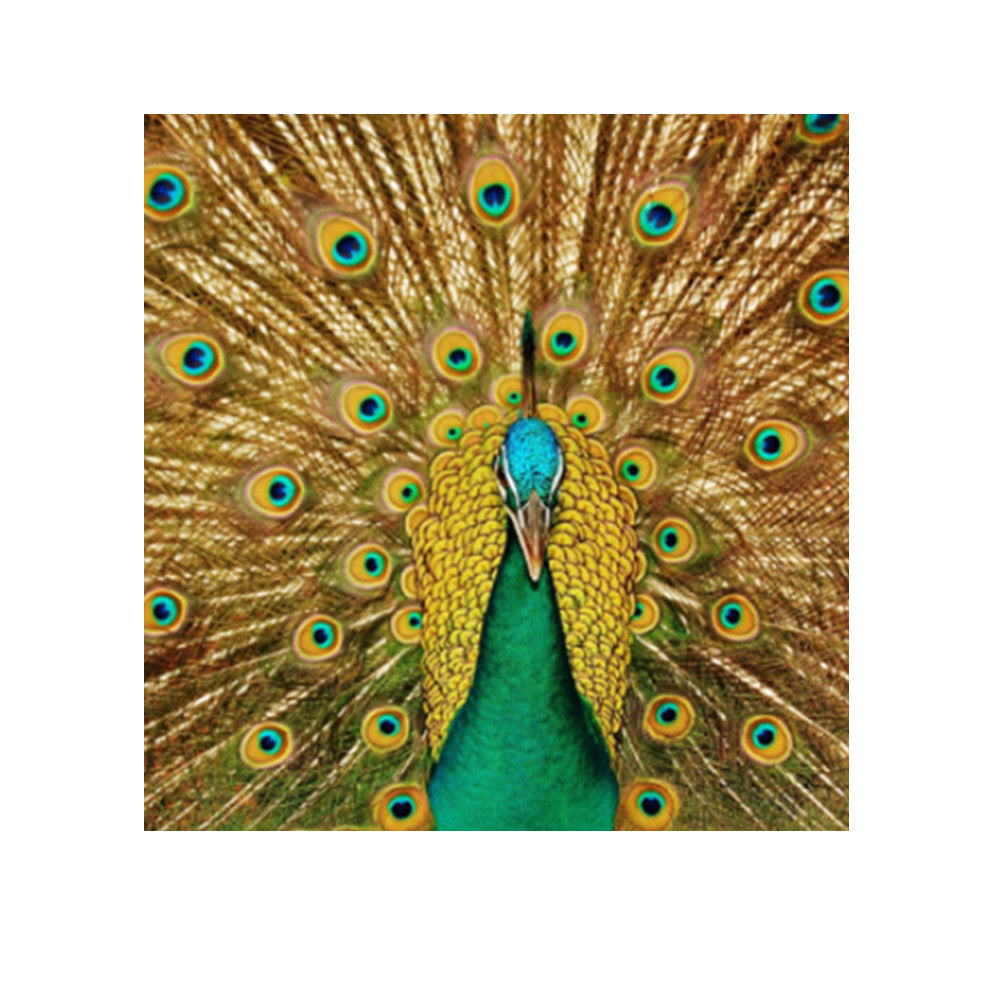 5D Diamond Painting