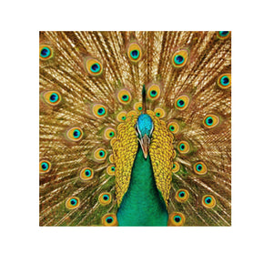 5D Diamond Painting